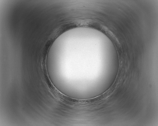 X0000071950209200607071047