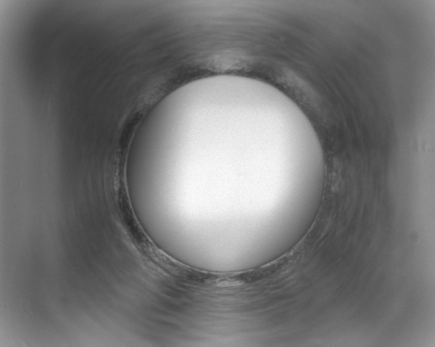 X0000071950210200607071047