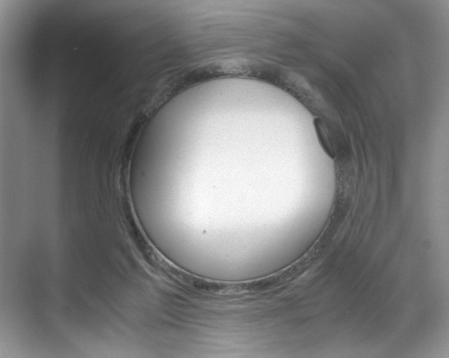 X0000071950213200607071047