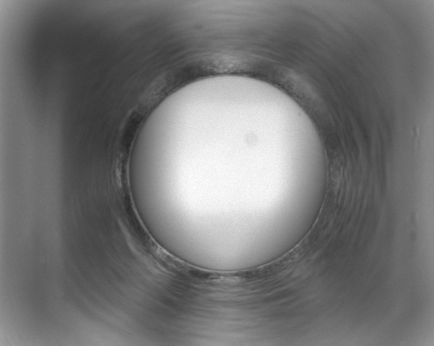 X0000071950214200607071047