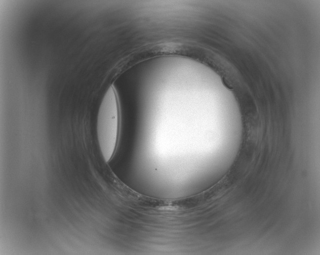 X0000071950216200607071047