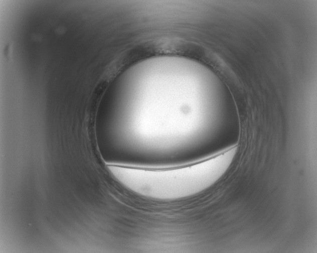 X0000071950217200607071047