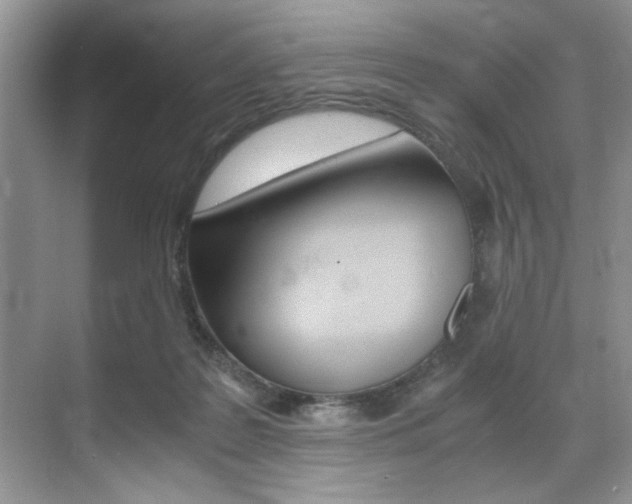 X0000071950219200607071047