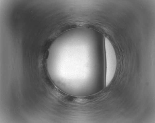 X0000071950221200607071047