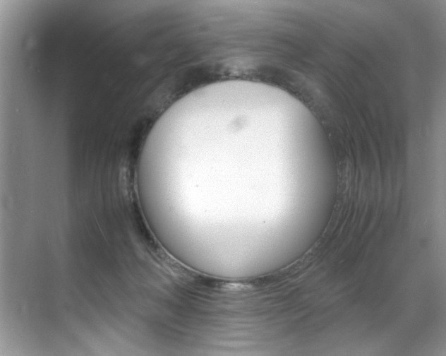 X0000071950222200607071047