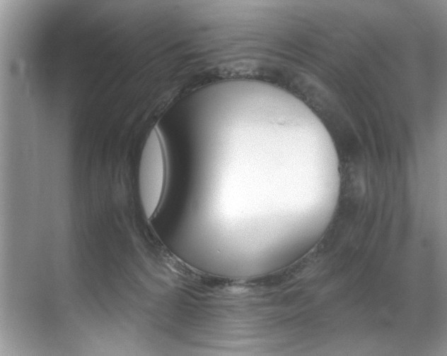 X0000071950224200607071047