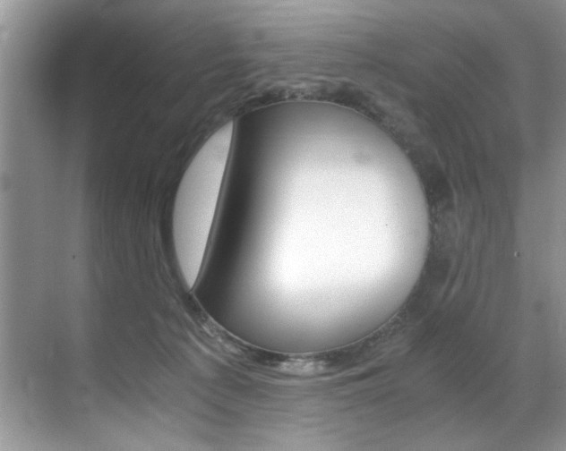 X0000071950225200607071047