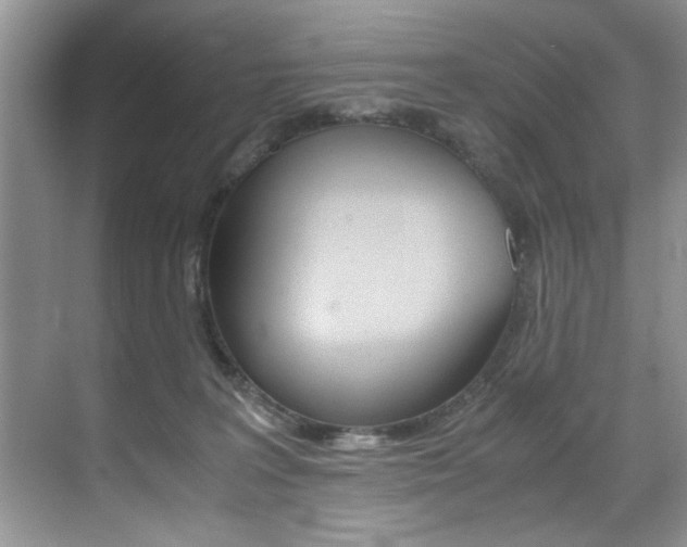 X0000071950227200607071047