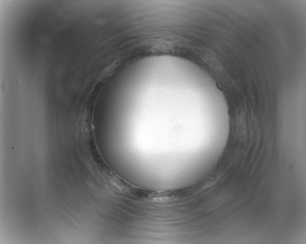 X0000071950228200607071047