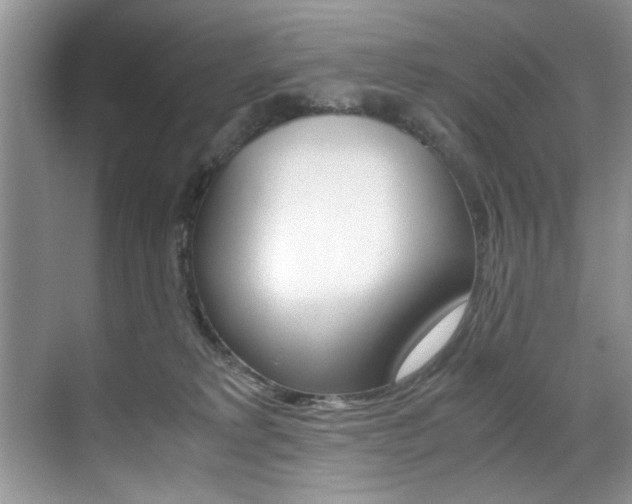 X0000071950229200607071047