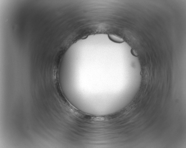 X0000071950230200607071047