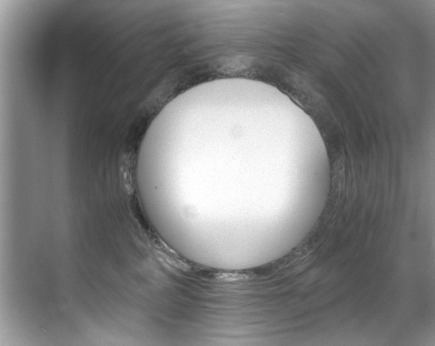 X0000071950234200607071047