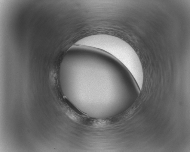 X0000071950235200607071047