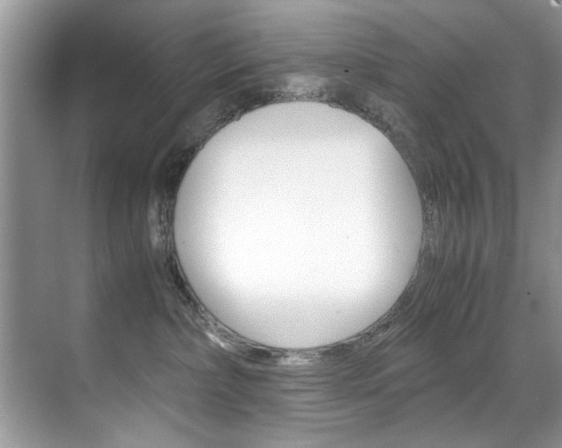 X0000071950236200607071047