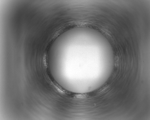 X0000071950238200607071047