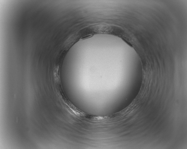 X0000071950239200607071047