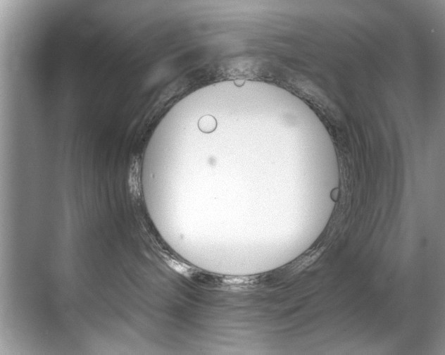 X0000071950240200607071047