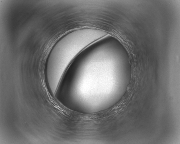 X0000071950241200607071046