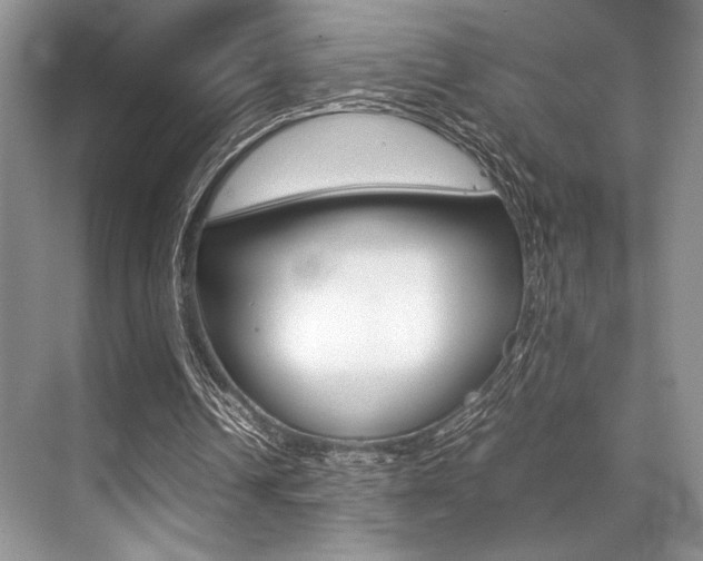 X0000071950242200607071046