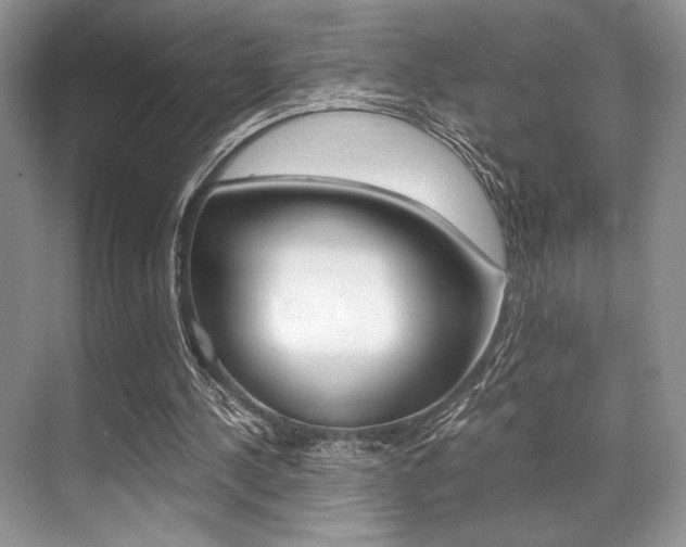 X0000071950244200607071046