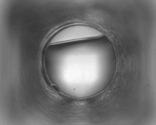 X0000071950247200607071046