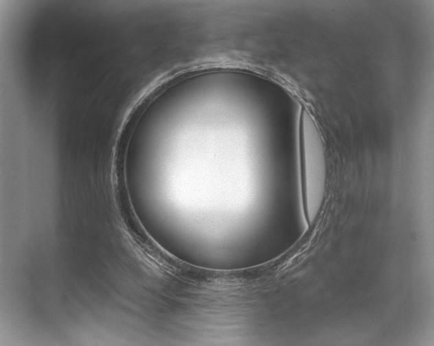X0000071950248200607071046