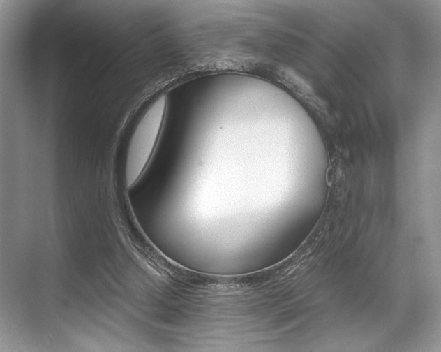X0000071950250200607071046