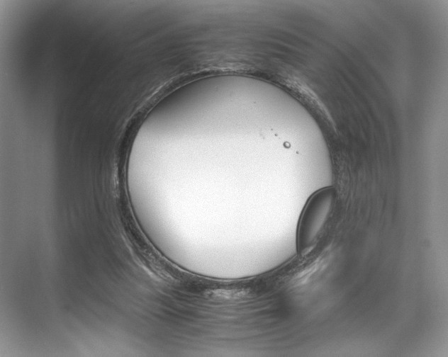 X0000071950251200607071046