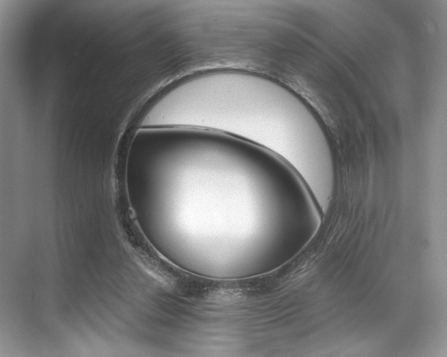 X0000071950252200607071046