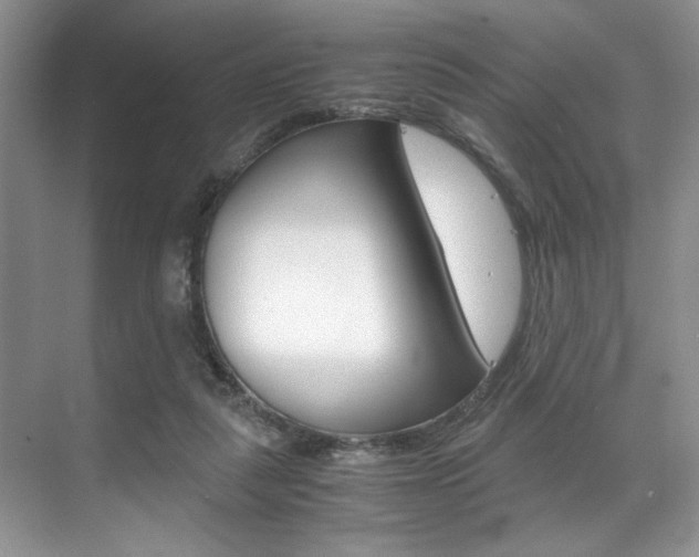 X0000071950259200607071046