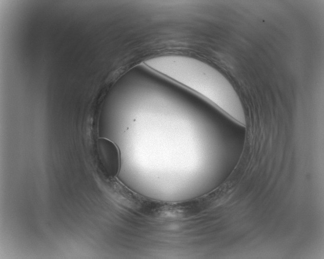 X0000071950263200607071047