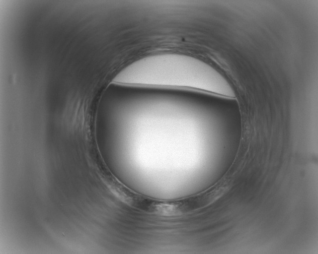 X0000071950265200607071047