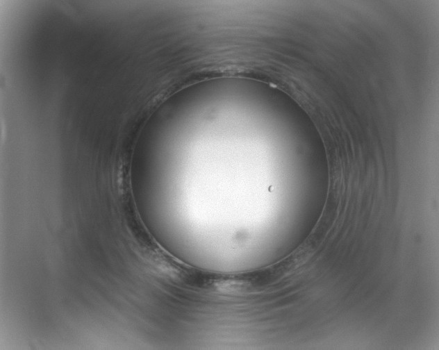 X0000071950268200607071047