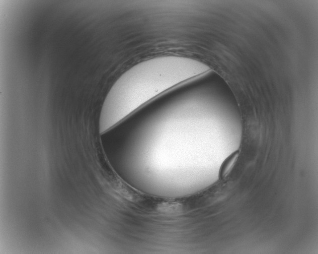 X0000071950271200607071047