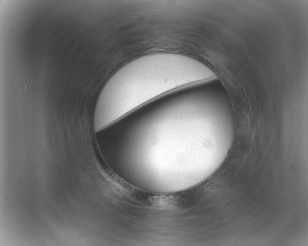 X0000071950273200607071047