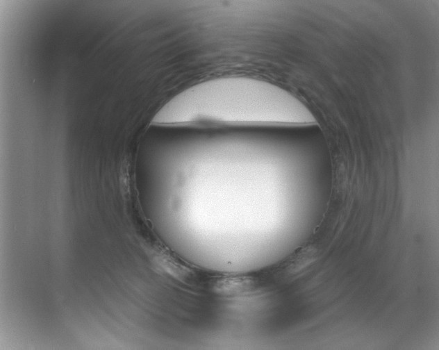 X0000071950274200607071047