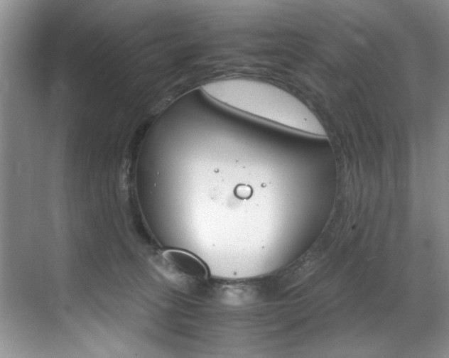 X0000071950275200607071047