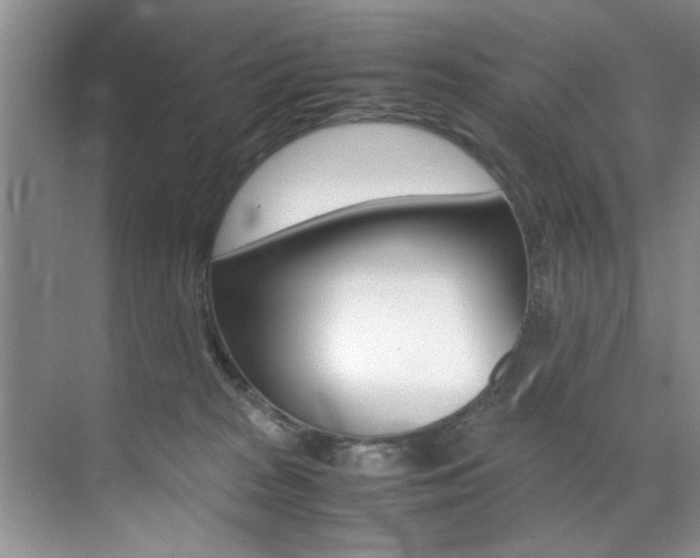 X0000071950277200607071047