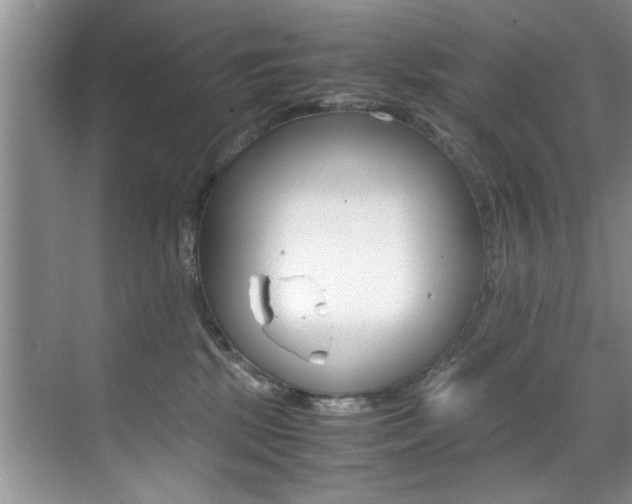 X0000071950281200607071047