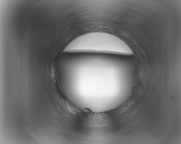 X0000071950282200607071047