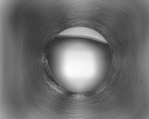 X0000071950284200607071047