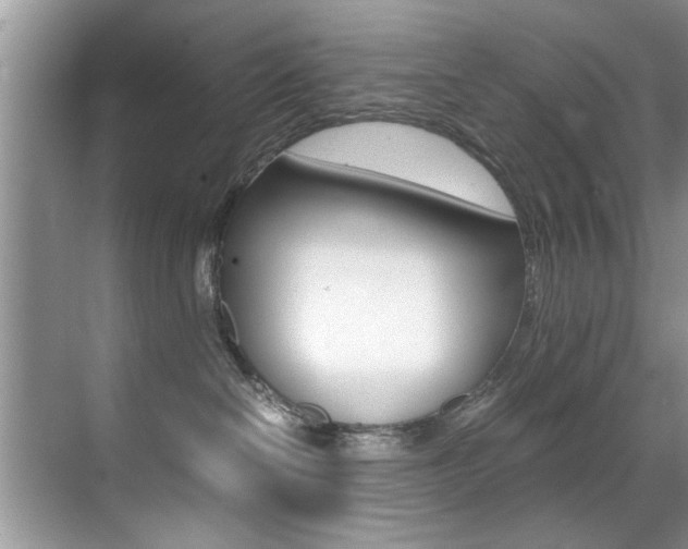 X0000071950286200607071047