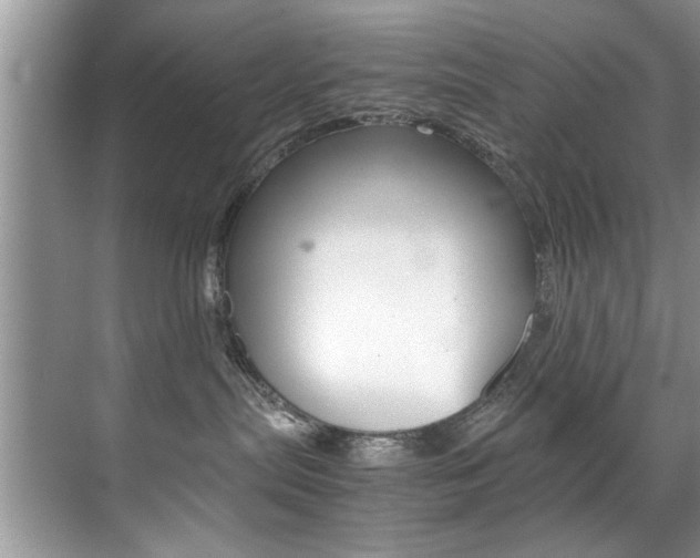 X0000071950287200607071047