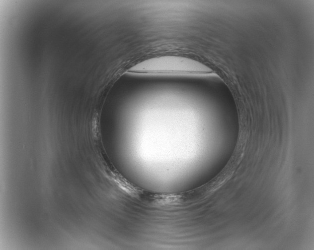 X0000071950288200607071047