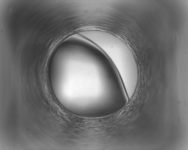 X0000071950289200607071046