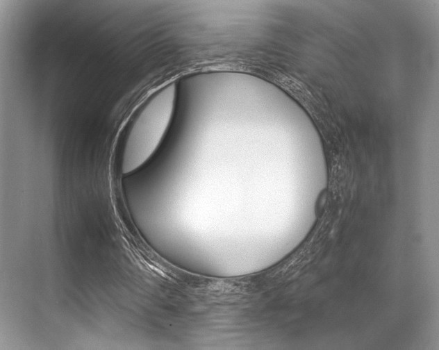X0000071950290200607071046