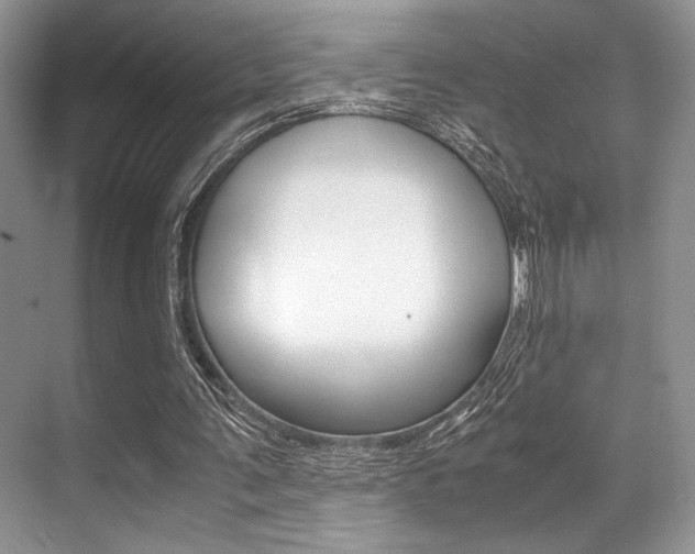 X0000071950291200607071046