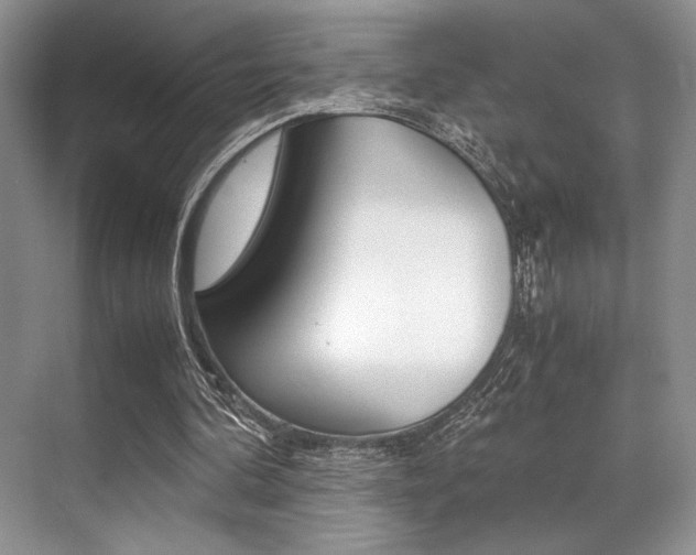 X0000071950292200607071046
