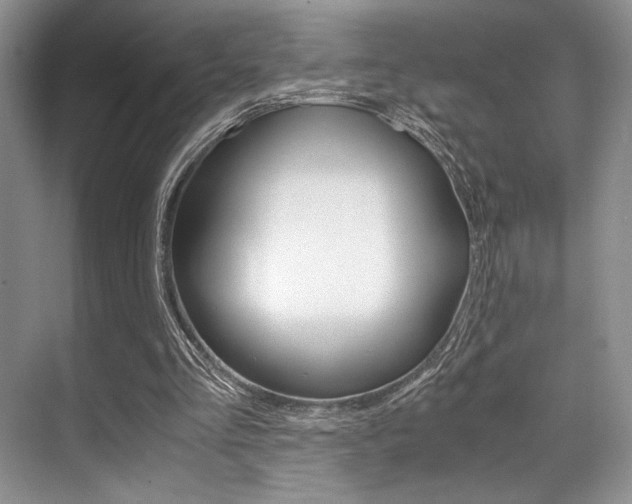 X0000071950293200607071046