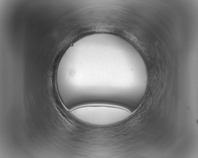 X0000071950299200607071046